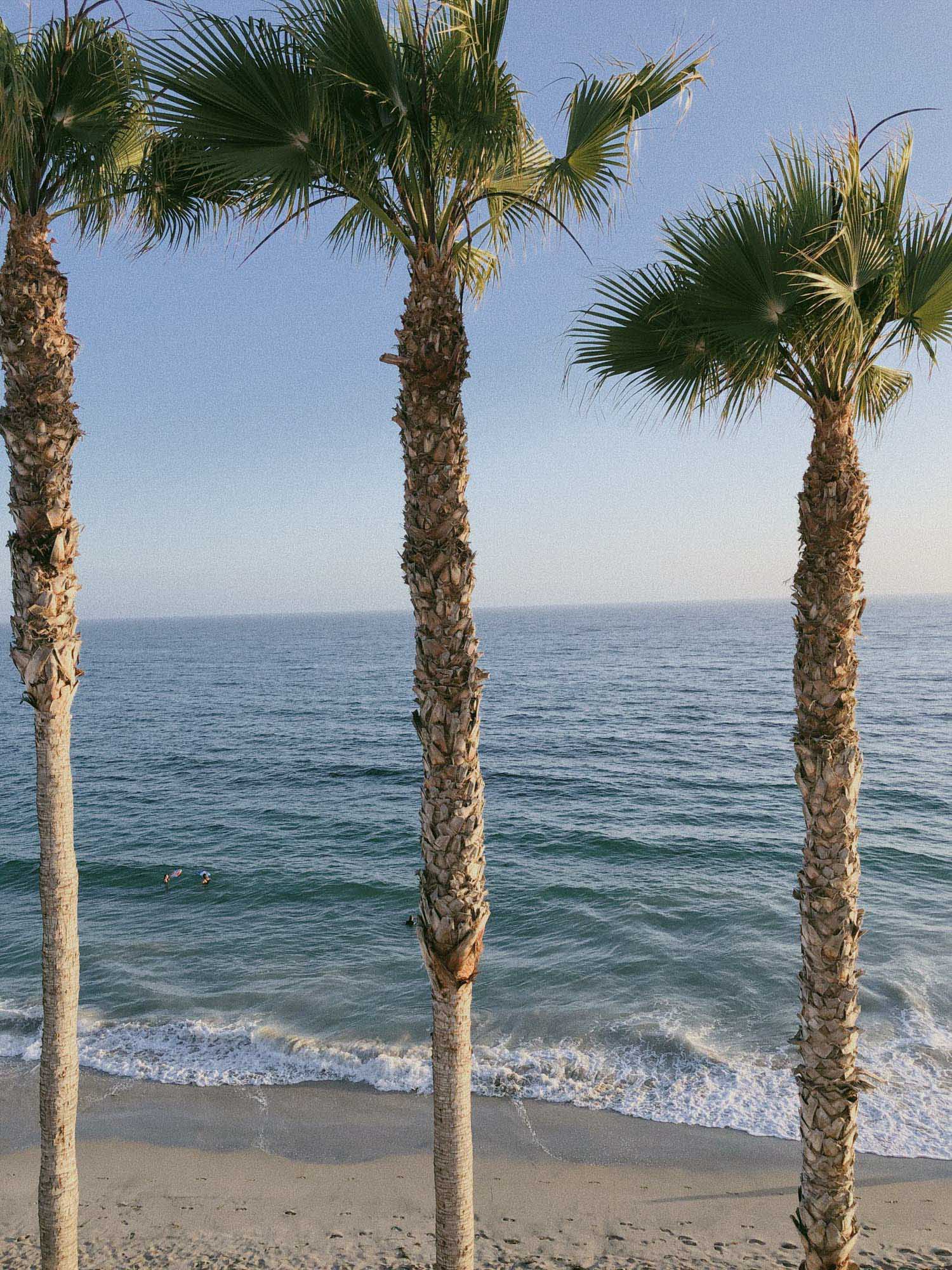 Capri Laguna's Iconic 3 Palms